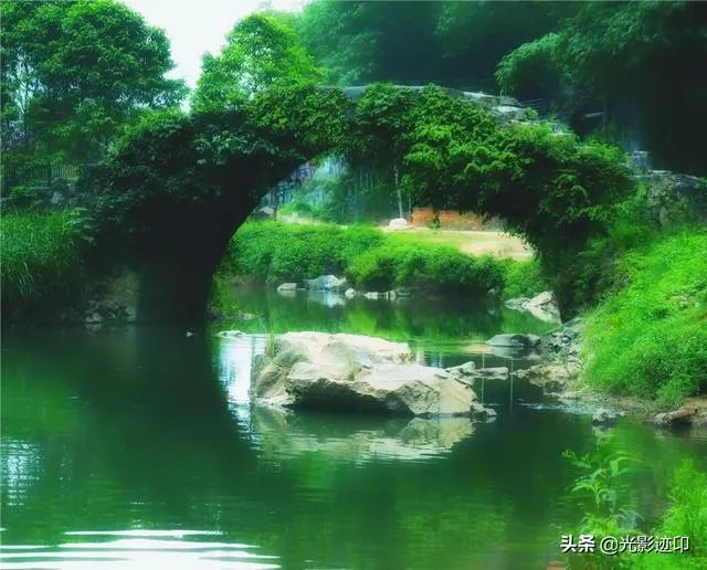 有什么入门单反推荐?跪谢？