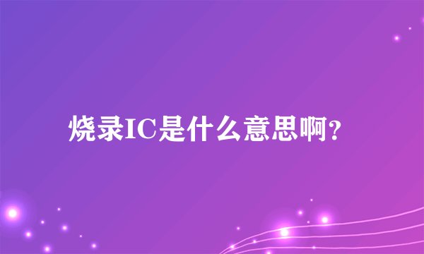 烧录IC是什么意思啊？