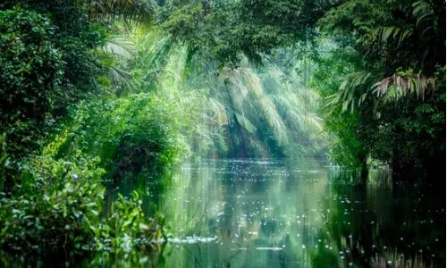 三亚旅游值得去的几个景点有哪些？可以具体说说吗？