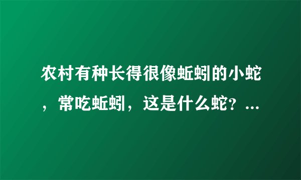 农村有种长得很像蚯蚓的小蛇，常吃蚯蚓，这是什么蛇？有毒吗？