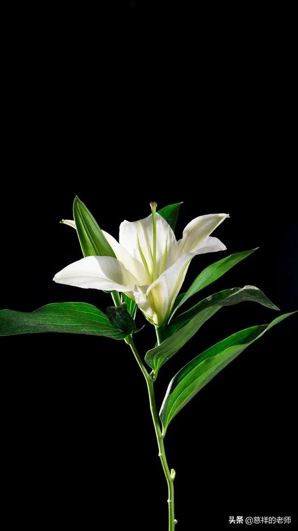 被人想念和想念别人哪一种更幸福？心有灵犀真的存在吗？