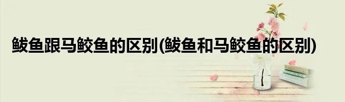 鲅鱼跟马鲛鱼的区别(鲅鱼和马鲛鱼的区别)