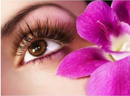 一般种睫毛要多少钱啊?