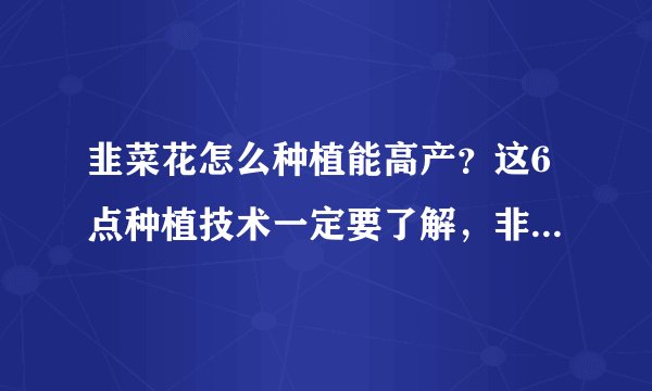韭菜花怎么种植能高产？这6点种植技术一定要了解，非常重要！
