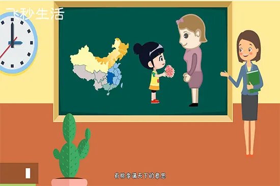 教师节送什么花
