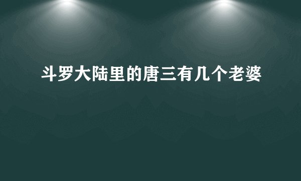 斗罗大陆里的唐三有几个老婆