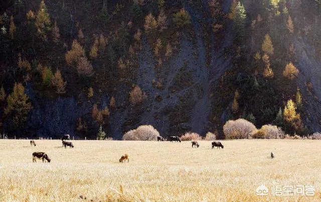 国内有哪些地方被誉为是“摄影人的天堂”？