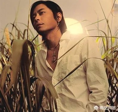 歌手王杰突然清空微博与薛之谦的脑残粉有关吗？