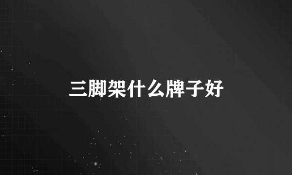 三脚架什么牌子好