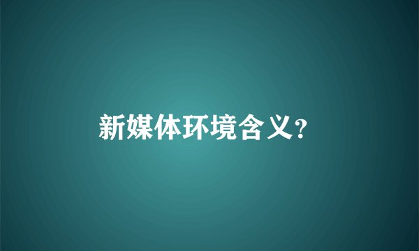 新媒体环境含义？