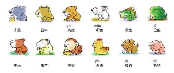 为什么十二生肖中没有猫