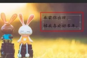 怎么在图片上写文字？