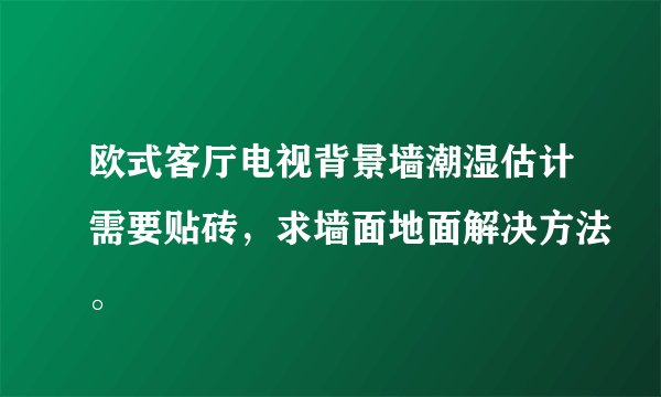 欧式客厅电视背景墙潮湿估计需要贴砖，求墙面地面解决方法。