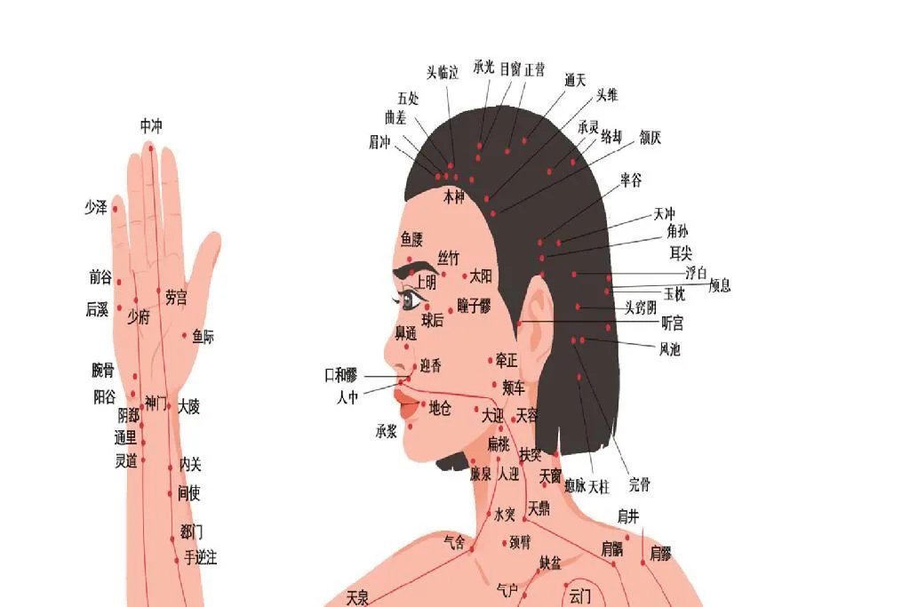 人体经络示意图