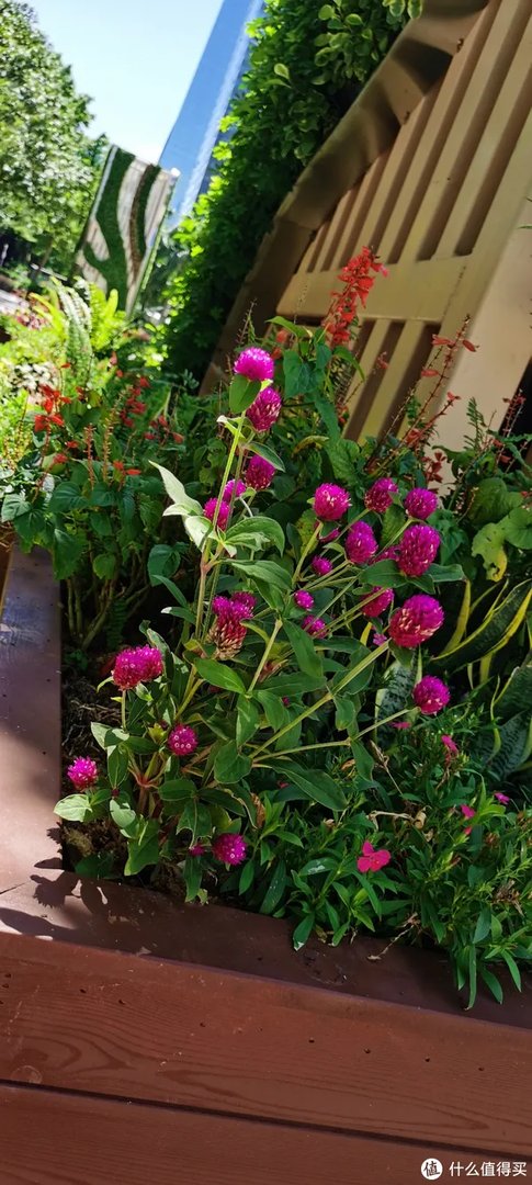 不吹不黑，荣耀Play4 Pro到底值不值得入手？