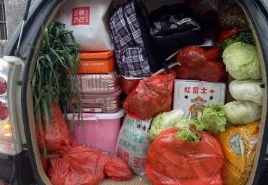 母亲摘百斤柿子送儿子返程，后备箱除了东西还能装什么？