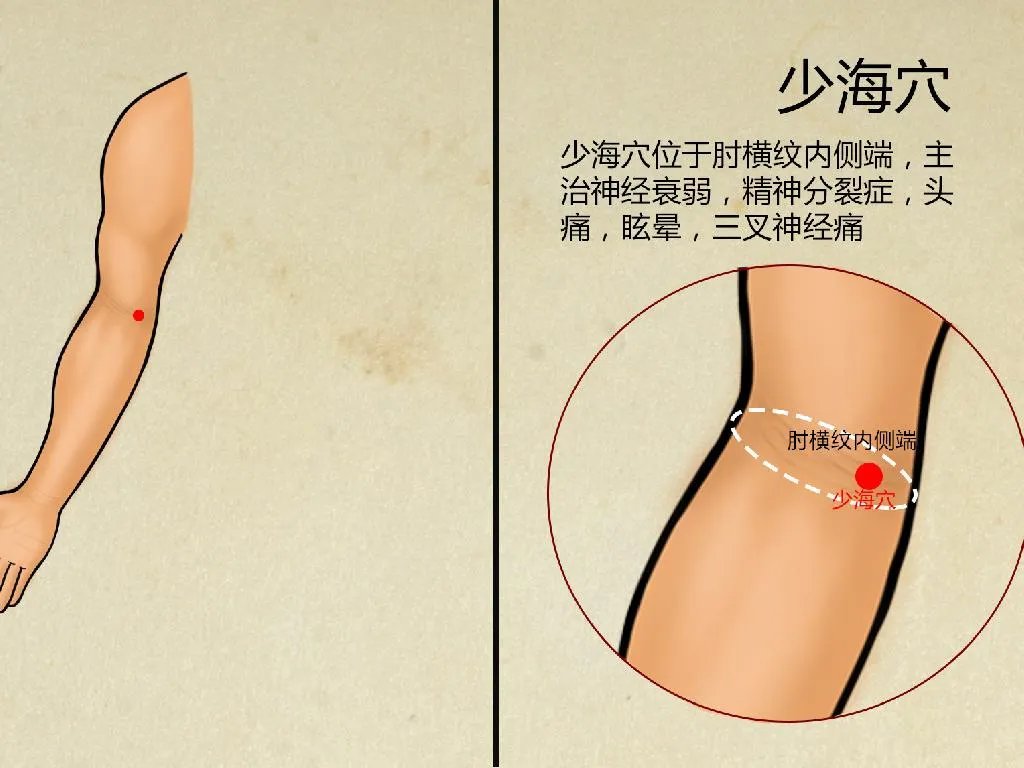 少海的准确位置和功效