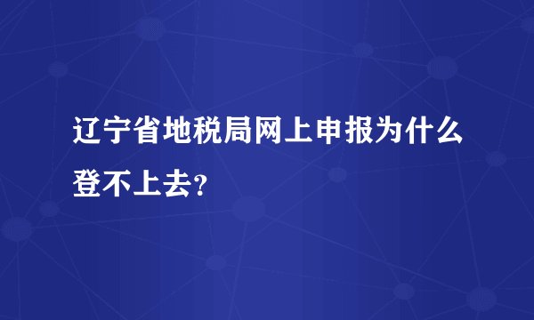辽宁省地税局网上申报为什么登不上去？