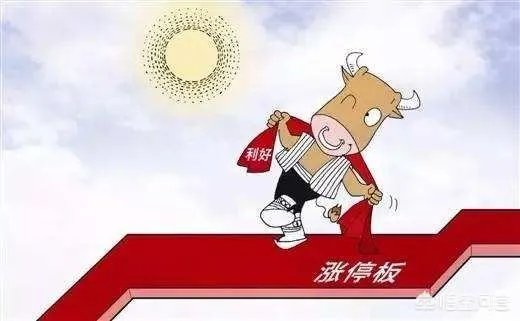新股5板开板后又马上涨停，后续应该怎么操作比较好？