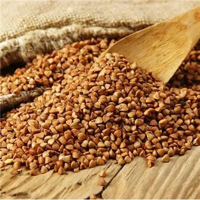 最新健康饮食金字塔