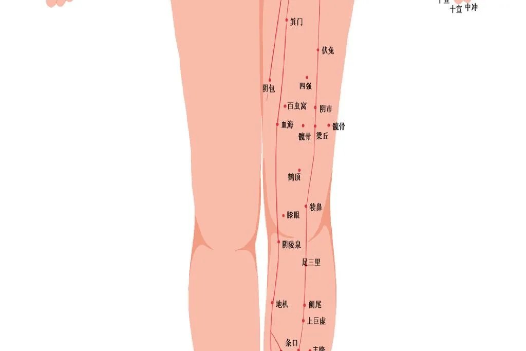 人体经络示意图