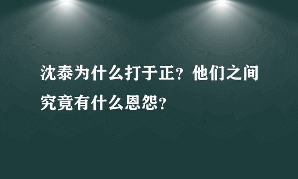 沈泰为什么打于正？他们之间究竟有什么恩怨？