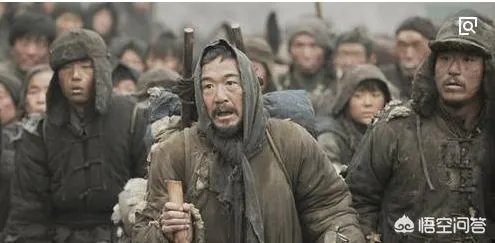 看过冯小刚的电影《1942》吗？感觉这部电影怎么样？