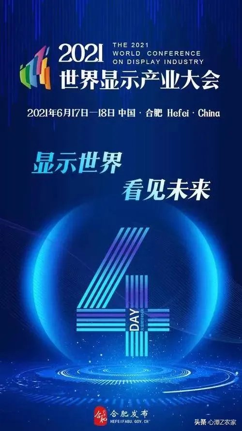 世界显示 “屏”什么看合肥？