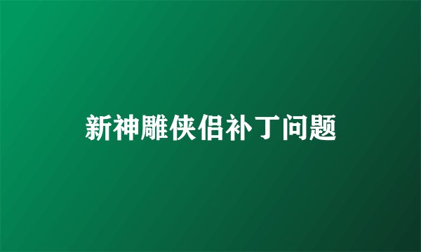 新神雕侠侣补丁问题