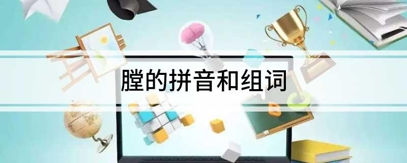 膛的拼音和组词 膛字怎么读它可以组成什么词语