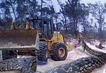 挖掘机挖出巨蛇事件是真是假：据说挖掘机挖出16米长巨蛇