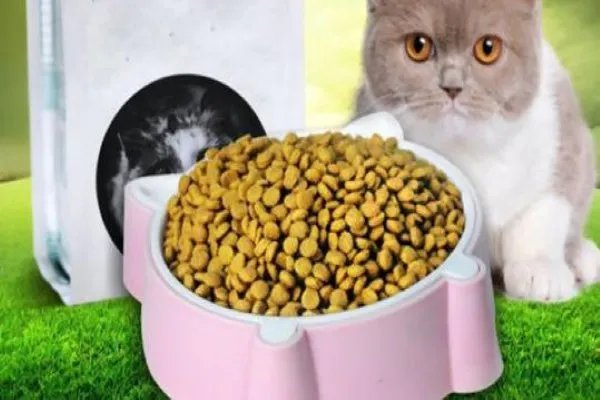 狗粮中的国产三大毒粮