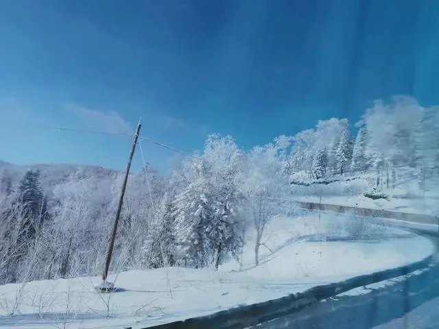 你喜欢东北冬天特有的风景吗？