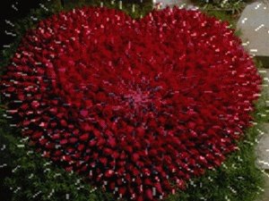 有没有2018年新年祝福大全？