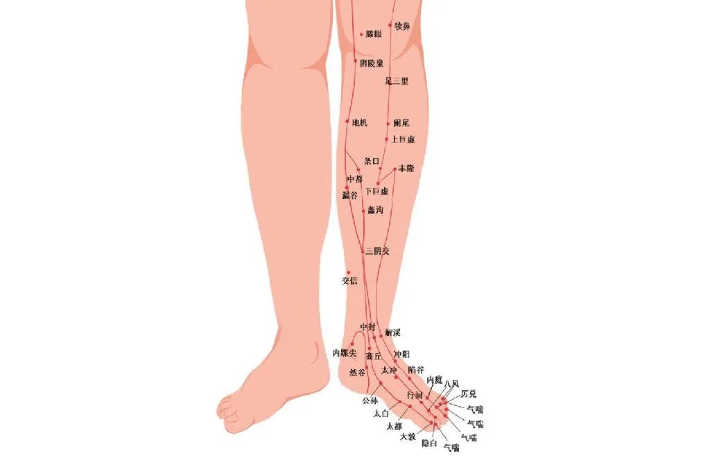 人体经络示意图