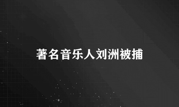 著名音乐人刘洲被捕