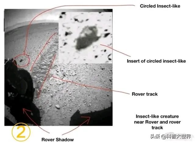 昆虫学家声称在火星上有重大发现，其理由是否充分？