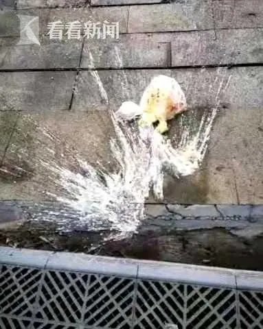 骑手被取消订单当面怒砸外卖 顾客：不要赔偿只要道歉