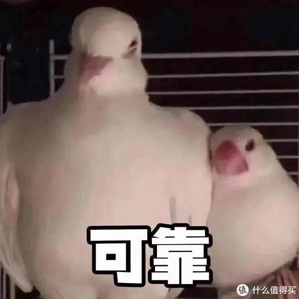 美白淡斑精华液哪个牌子比较好？十大美白祛斑产品排行榜