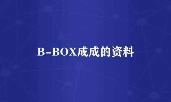 B-BOX成成的资料