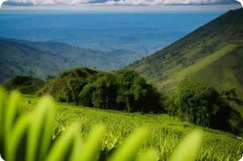 吴奇隆刘诗诗演过的电视剧盘点