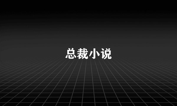 总裁小说