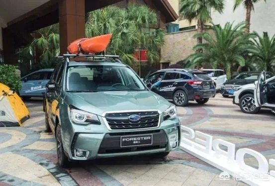 森林人、途观、自由光，哪个更值得入手？