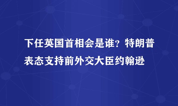 下任英国首相会是谁？特朗普表态支持前外交大臣约翰逊