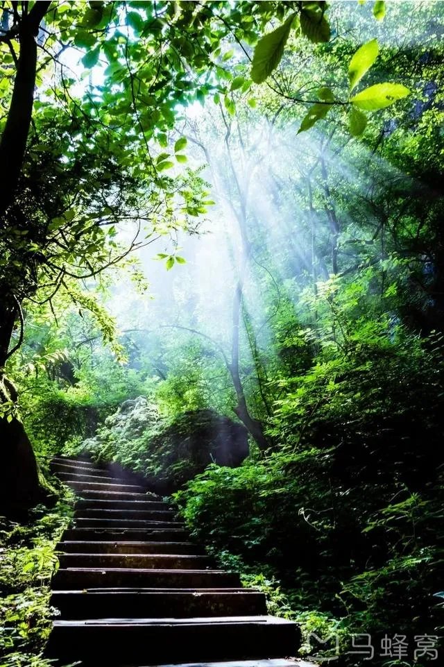 西安到汉中三日新手自驾游攻略有哪些？