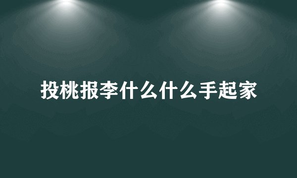 投桃报李什么什么手起家
