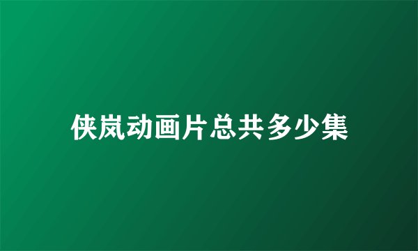侠岚动画片总共多少集