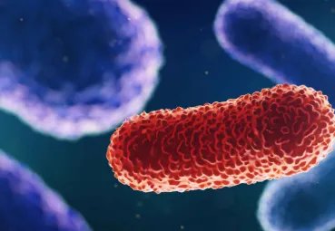 8人死亡，鸡西中毒事件敲警钟，你还敢乱吃吗？