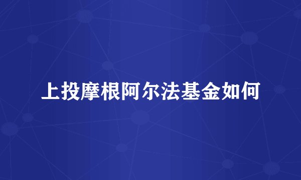 上投摩根阿尔法基金如何