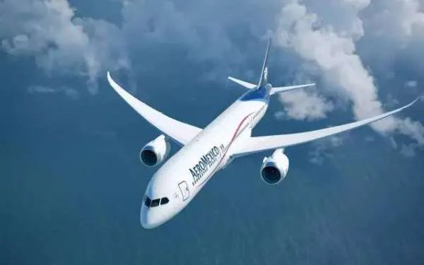 一海鸥被吸入挪威客机瞬间蒸发，是否对客机造成了影响？